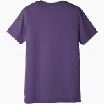 Seymour Seymour Owls BELLA+CANVAS Unisex Triblend Short Sleeve Tee Back Thumbnail