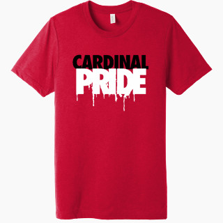 BELLA+CANVAS Unisex Triblend Short Sleeve Tee