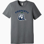 Drew Rangers <span class="pdp-name-mascot">Drew University Rangers</span> BELLA+CANVAS Unisex Triblend Short Sleeve Tee Front Thumbnail