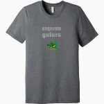 Unquowa Gators BELLA+CANVAS Unisex Triblend Short Sleeve Tee Front Thumbnail