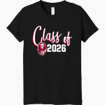 MORAVIAN ACADEMY LIONS <span class="pdp-name-mascot">MORAVIAN ACADEMY LIONS</span> Bella+Canvas Youth Triblend SS Tee Front Thumbnail