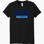 Headwaters Hawks <span class="pdp-name-mascot">Headwaters School Hawks</span> Bella+Canvas Youth Triblend SS Tee Front Thumbnail