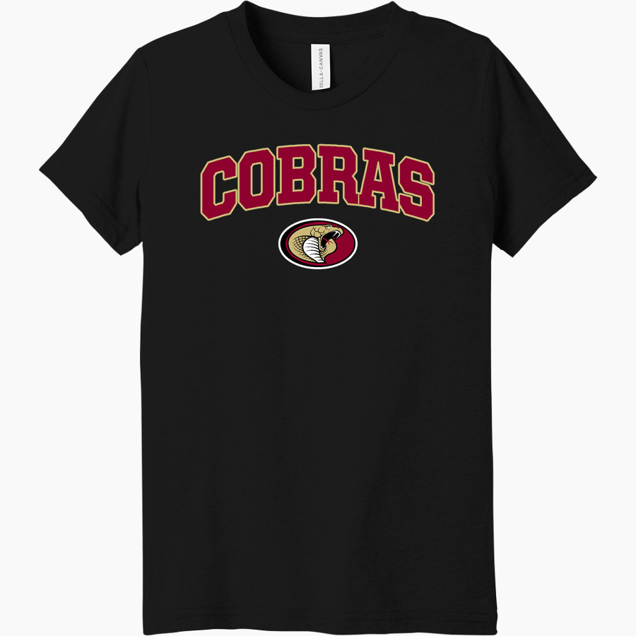 HUDSON HIGH SCHOOL COBRAS <span class="pdp-name-mascot">HUDSON COBRAS</span> Bella+Canvas Youth Triblend SS Tee