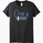 Burchell Wolves <span class="pdp-name-mascot">Burchell Wolves</span> Bella+Canvas Youth Triblend SS Tee Front Thumbnail
