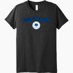 Houghton Academy Panthers <span class="pdp-name-mascot">Houghton Academy Panthers</span> Bella+Canvas Youth Triblend SS Tee Front Thumbnail