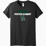 PROCTOR ACADEMY HORNETS <span class="pdp-name-mascot">PROCTOR ACADEMY HORNETS</span> Bella+Canvas Youth Triblend SS Tee Front Thumbnail