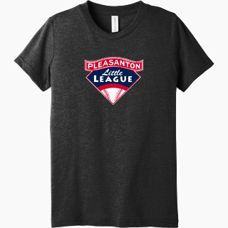 Bella+Canvas Youth Triblend SS Tee