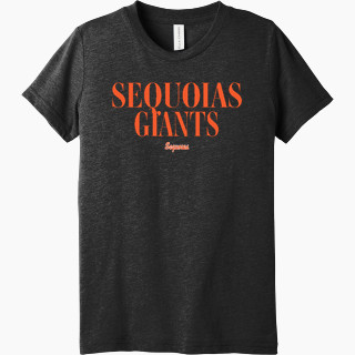 Bella+Canvas Youth Triblend SS Tee