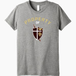 St. FRANCIS HIGH SCHOOL GOLDEN KNIGHTS <span class="pdp-name-mascot">SAINT FRANCIS GOLDEN KNIGHTS</span> Bella+Canvas Youth Triblend SS Tee Front Thumbnail