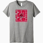 DOVER HIGH SCHOOL LONGHORNS Bella+Canvas Youth Triblend SS Tee Front Thumbnail