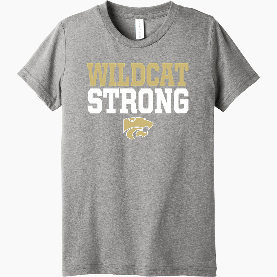 HAYDEN HIGH SCHOOL WILDCATS <span class="pdp-name-mascot">HAYDEN WILDCATS</span> Bella+Canvas Youth Triblend SS Tee