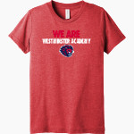 WESTMINSTER ACADEMY LIONS <span class="pdp-name-mascot">WESTMINSTER ACADEMY LIONS</span> Bella+Canvas Youth Triblend SS Tee Front Thumbnail
