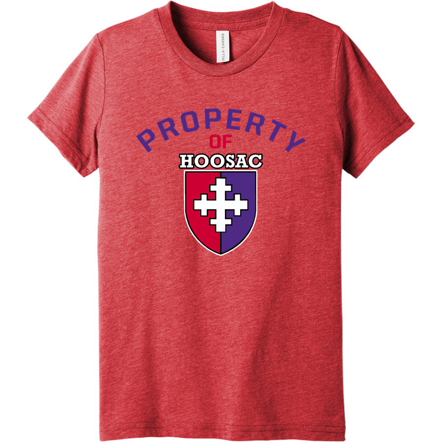 HOOSAC OWLS ONLINE STORE <span class="pdp-name-mascot">HOOSAC OWLS</span> Bella+Canvas Youth Triblend SS Tee