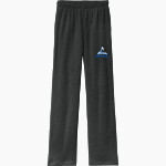 Lane Community College Titans <span class="pdp-name-mascot">Lane Community College Titans</span> BELLA+CANVAS Unisex Sponge Fleece Straight Leg Sweatpant Front Thumbnail