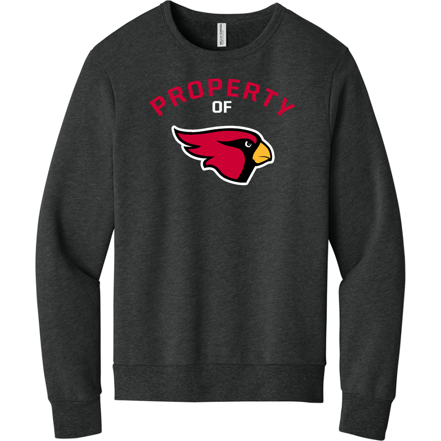Annandale Cardinals <span class="pdp-name-mascot">Annandale Schools Cardinals</span> BELLA+CANVAS Unisex Sponge Fleece Classic Crewneck Sweatshirt