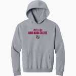Anna Maria College Amcats <span class="pdp-name-mascot">Anna Maria College Amcats</span> BELLA+CANVAS Unisex 10-Ounce Heavyweight Pullover Hoodie Front Thumbnail