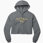 Oral Roberts Golden Eagles <span class="pdp-name-mascot">Oral Roberts Golden Eagles</span> Bella+Canvas Women's Sponge Fleece Cropped-Fleece Hoodie Front Thumbnail