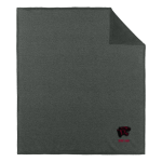 The Alternative Center for Excellence Panthers <span class="pdp-name-mascot">The Alternative Center for Excellence Panthers</span> Port Authority Arc Sweater Fleece Blanket Front Thumbnail