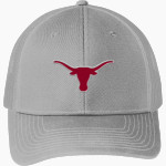 DOVER HIGH SCHOOL LONGHORNS Port Authority Snapback Trucker Cap Front Thumbnail