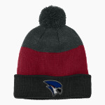 Merrill Bluejays <span class="pdp-name-mascot">Merrill Bluejays</span> Port Authority Cozy Striped Pom Beanie Front Thumbnail