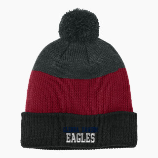Port Authority Cozy Striped Pom Beanie