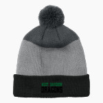 WEST DAVIDSON HIGH SCHOOL DRAGONS Port Authority Cozy Striped Pom Beanie Front Thumbnail