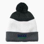 Babcock Trailblazers <span class="pdp-name-mascot">Babcock High School Trailblazers</span> Port Authority Cozy Striped Pom Beanie Front Thumbnail