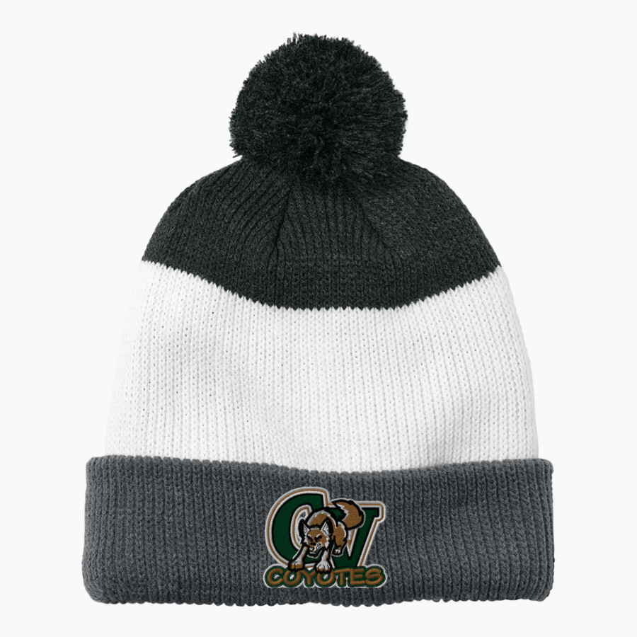 CAMPO VERDE HIGH SCHOOL COYOTES <span class="pdp-name-mascot">CAMPO VERDE COYOTES</span> Port Authority Cozy Striped Pom Beanie