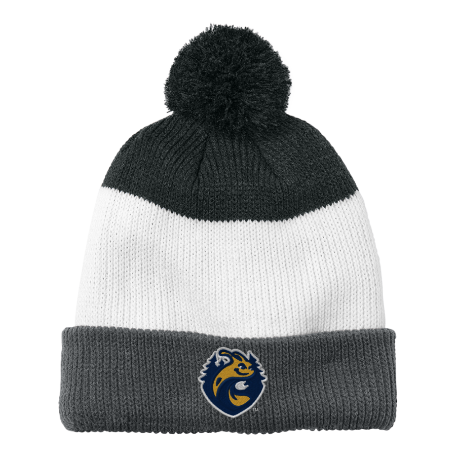 UC Santa Cruz Banana Slugs <span class="pdp-name-mascot">UC Santa Cruz Banana Slugs</span> Port Authority Cozy Striped Pom Beanie