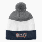 Glenn Grizzlies <span class="pdp-name-mascot">Tom Glenn Grizzlies</span> Port Authority Cozy Striped Pom Beanie Front Thumbnail