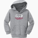 Millbrook Equine Veterinary Clinic Millbrook Equine Vet <span class="pdp-name-mascot">Millbrook Equine Veterinary Clinic</span> Port & Company Toddler Core Fleece Pullover Hooded Sweatshirt Front Thumbnail