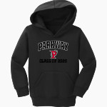 PARKWAY HIGH SCHOOL PANTHERS Port & Company Toddler Core Fleece Pullover Hooded Sweatshirt Front Thumbnail