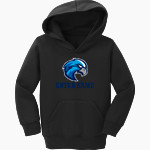 Salem Falcons <span class="pdp-name-mascot">Salem School District Falcons</span> Port & Company Toddler Core Fleece Pullover Hooded Sweatshirt Front Thumbnail