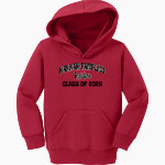 Hannah-Pamplico Raiders Raiders Port & Company Toddler Core Fleece Pullover Hooded Sweatshirt Front Thumbnail
