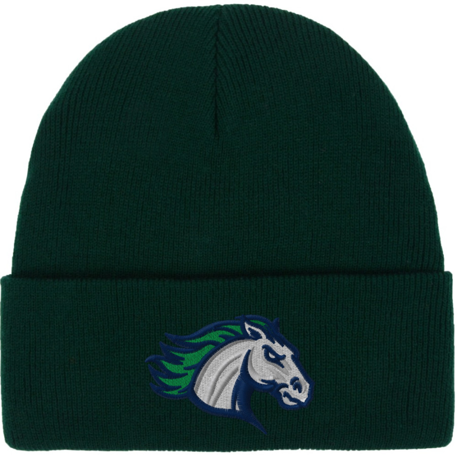 SOUTH COUNTY SECONDARY SCHOOL STALLIONS <span class="pdp-name-mascot">SOUTH COUNTY STALLIONS</span> Port & Company Knit Cap