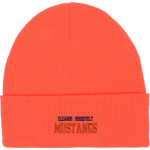 ELEANOR ROOSEVELT HIGH SCHOOL MUSTANGS <span class="pdp-name-mascot">ELEANOR ROOSEVELT MUSTANGS</span> Port & Company Knit Cap Front Thumbnail