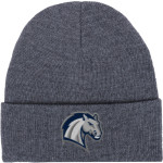 HIllsdale Chargers <span class="pdp-name-mascot">HIllsdale College Chargers</span> Port & Company Knit Cap Front Thumbnail