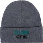 ACADEMY AT PALUMBO HIGH SCHOOL GRIFFINS Port & Company Knit Cap Front Thumbnail