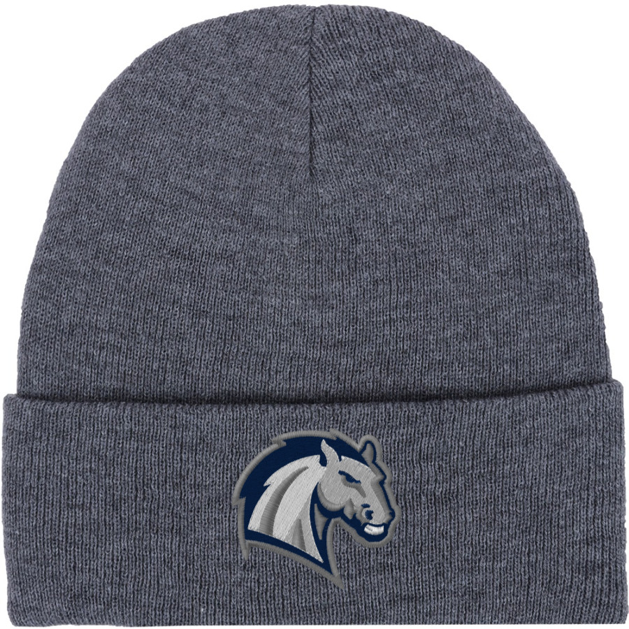 HIllsdale Chargers <span class="pdp-name-mascot">HIllsdale College Chargers</span> Port & Company Knit Cap