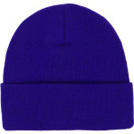 YERINGTON HIGH SCHOOL LIONS <span class="pdp-name-mascot">YERINGTON LIONS</span> Port & Company Knit Cap Back Thumbnail