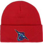 NORTH CENTRAL THUNDER Port & Company Knit Cap Front Thumbnail