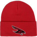 Dunedin Falcons <span class="pdp-name-mascot">Dunedin High School Falcons</span> Port & Company Knit Cap Front Thumbnail
