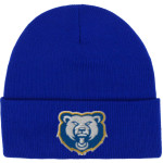 Gause Bears <span class="pdp-name-mascot">Gause Bears</span> Port & Company Knit Cap Front Thumbnail