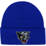 Houghton Academy Panthers <span class="pdp-name-mascot">Houghton Academy Panthers</span> Port & Company Knit Cap Front Thumbnail