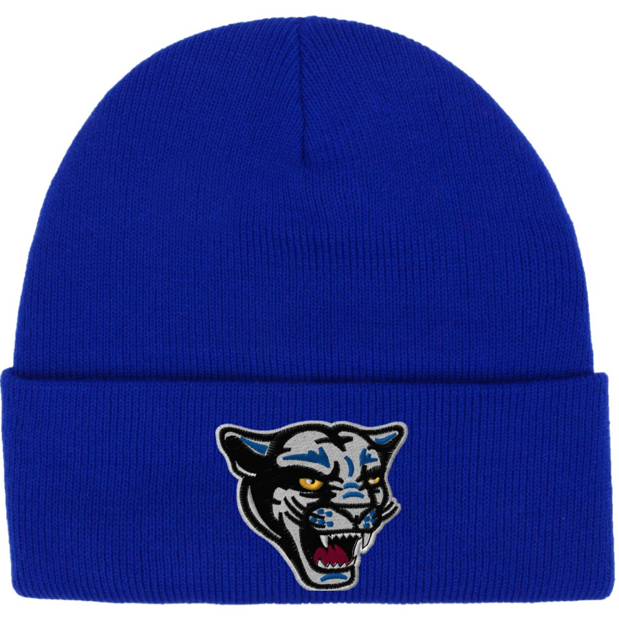 Houghton Academy Panthers <span class="pdp-name-mascot">Houghton Academy Panthers</span> Port & Company Knit Cap