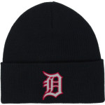 Dunedin Falcons Port & Company Knit Cap Front Thumbnail