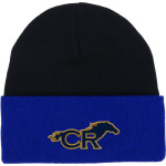 CYPRESS RANCH HIGH SCHOOL MUSTANGS Port & Company Knit Cap Front Thumbnail