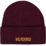 Au Gres-Sims HIGH SCHOOL WOLVERINES <span class="pdp-name-mascot">AU GRES - SIMS WOLVERINES</span> Port & Company Knit Cap Front Thumbnail