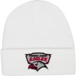 Parkhurst Eagles <span class="pdp-name-mascot">Parkhurst Academy Eagles</span> Port & Company Knit Cap Front Thumbnail