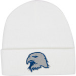 WORCESTER TECHNICAL HIGH SCHOOL EAGLES <span class="pdp-name-mascot">WORCESTER EAGLES</span> Port & Company Knit Cap Front Thumbnail